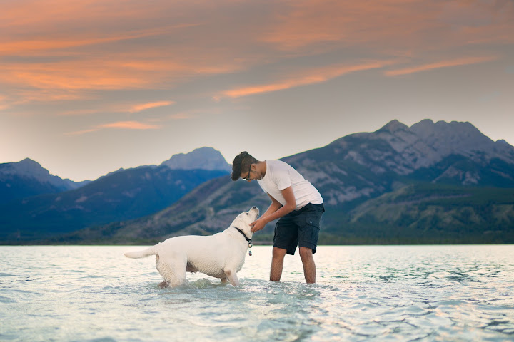 Person playing with a white dog in a mountain lake